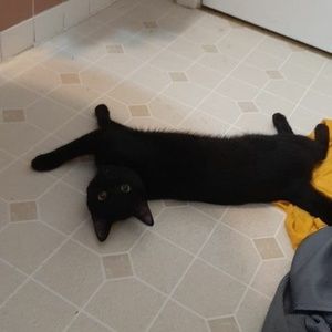 Meet your Posher, Aurora